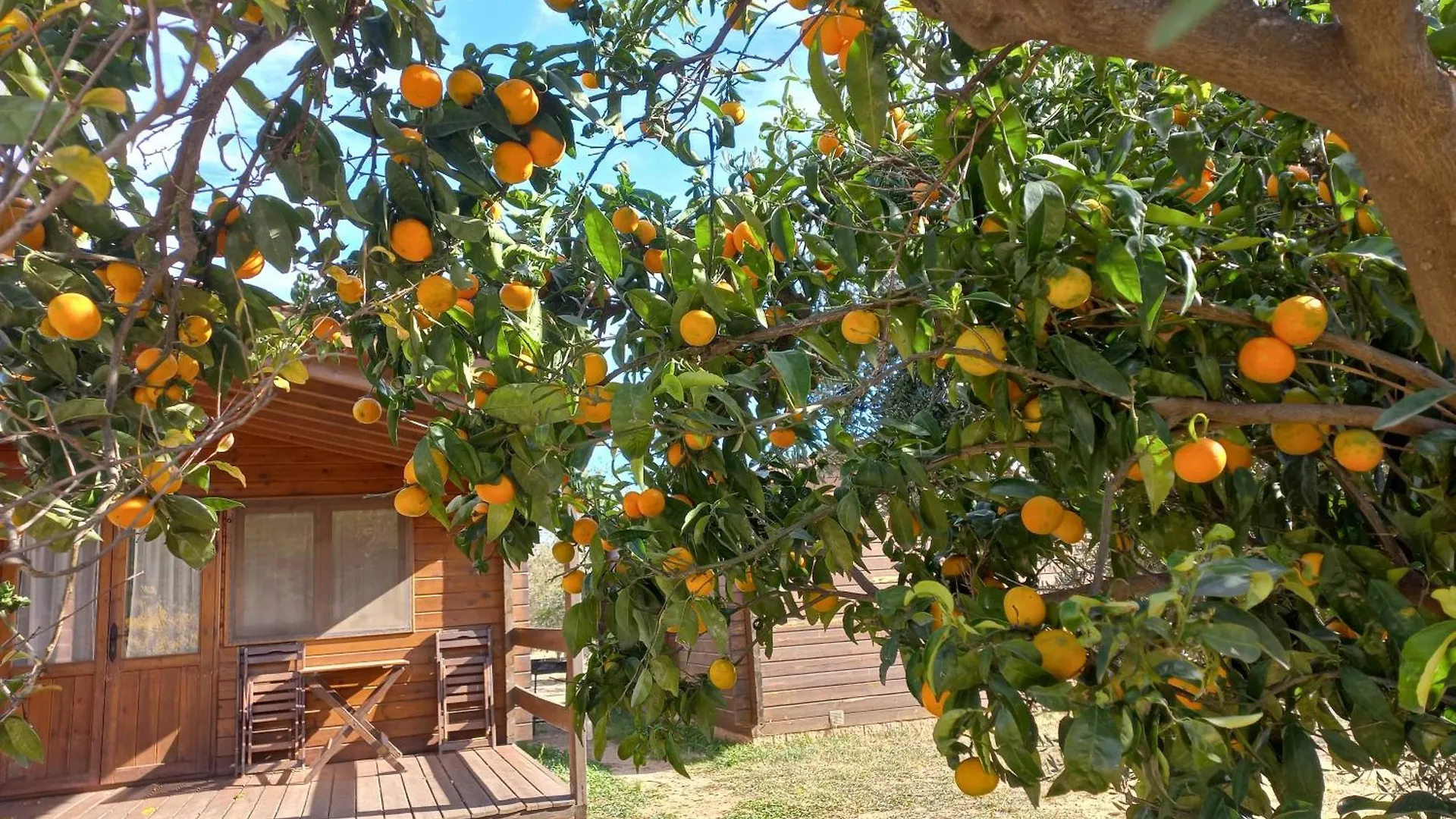 Camping Hotel Ecologic Vinyols Camp Vinyols i Els Arcs
